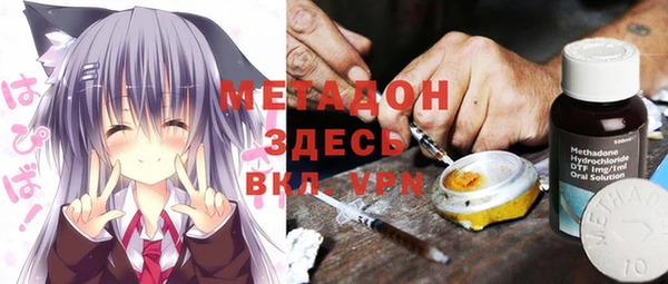 шишки Алзамай
