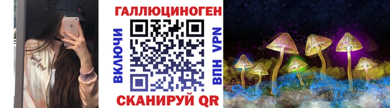 наркошоп  Мирный  Галлюциногенные грибы Psilocybe 